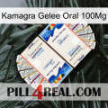 Kamagra Jelly Oral 100Mg kamagra1
